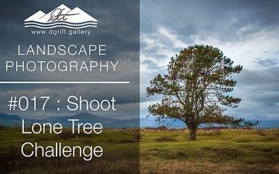 #017: Lone Tree Challenge, Newborough