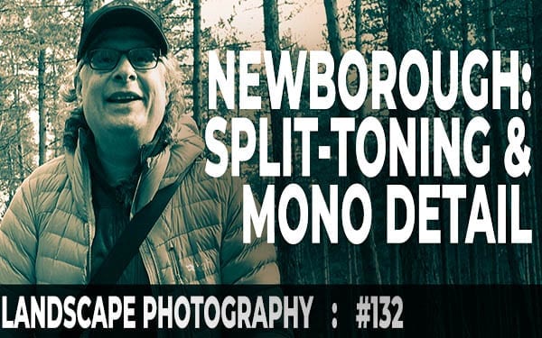 132: Landscape Photography Photoshop Split-Toning & Mono - Newborough Forest