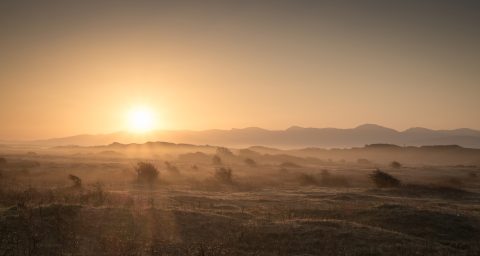 Newborough Warren, Anglesey