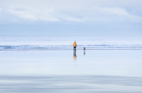 Walking the Dog (series)